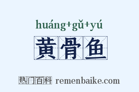 黄骨鱼是什么意思的图片